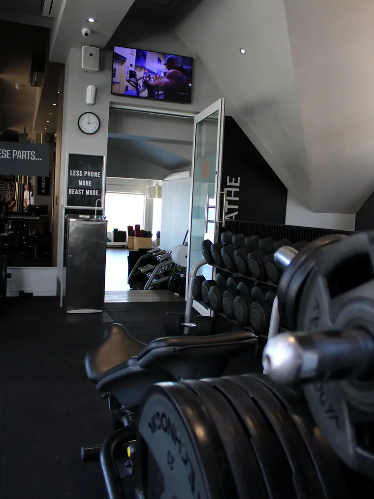 Plates and dumbbells racked on the Velocity gym floor